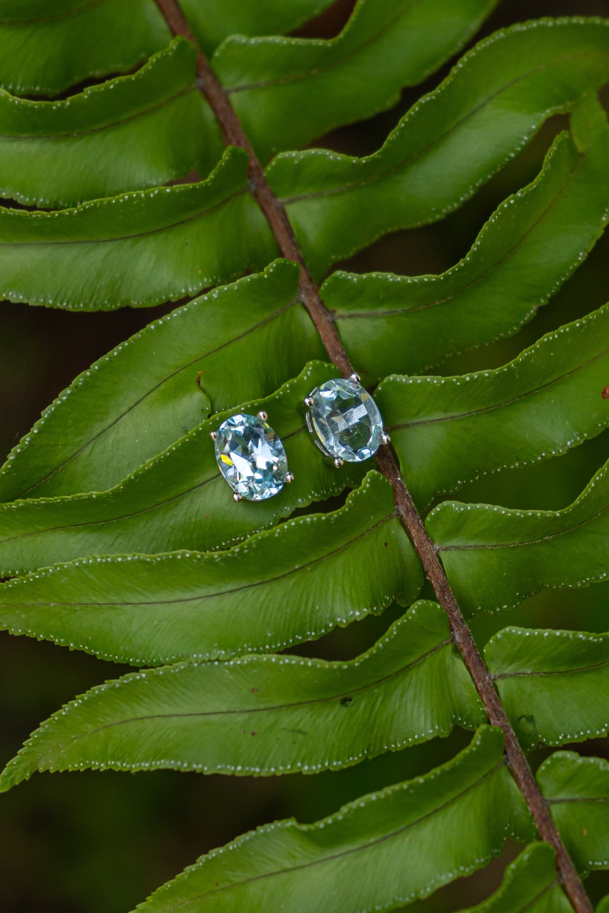Blue Topaz / Topacio Azul - Aritos - foto 024