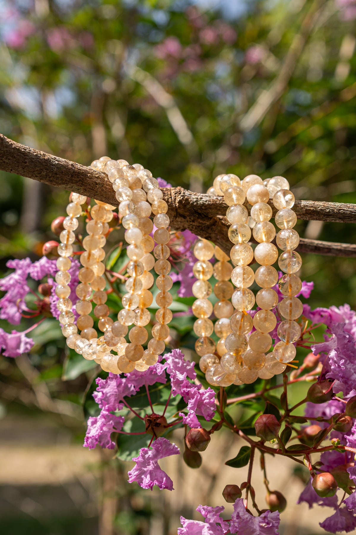 Citrino - Pulsera - foto 001