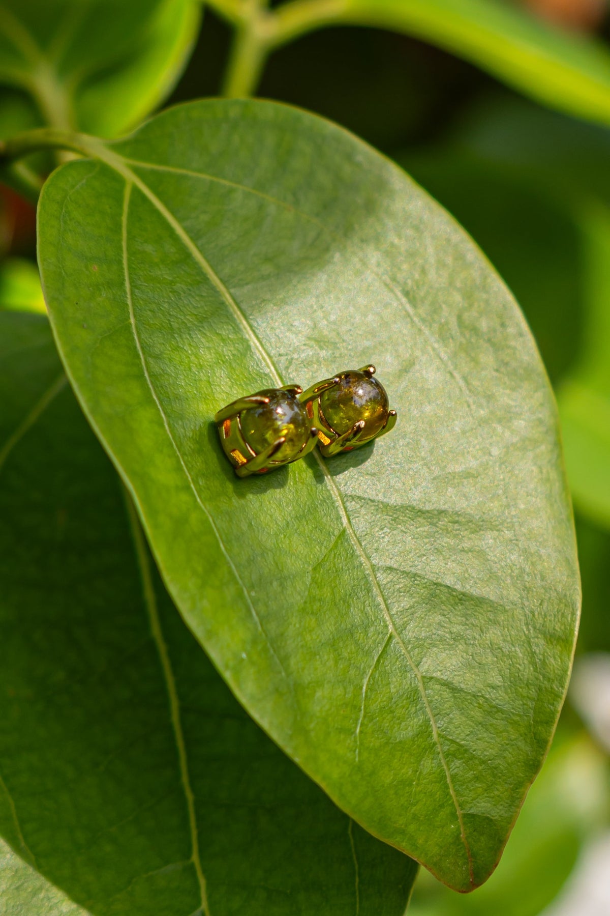 Smoky Quartz / Cuarzo Ahumado - Aritos - foto 002
