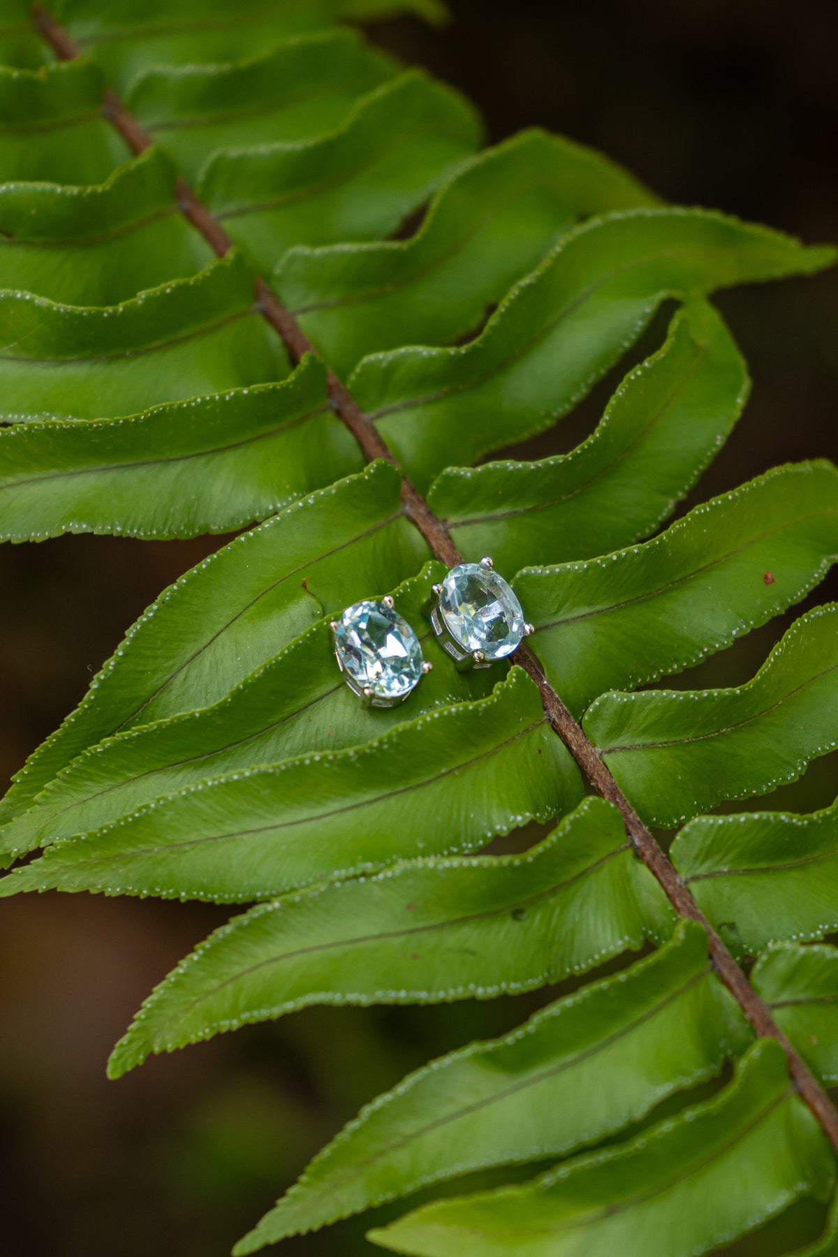 Blue Topaz / Topacio Azul - Aritos - foto 023
