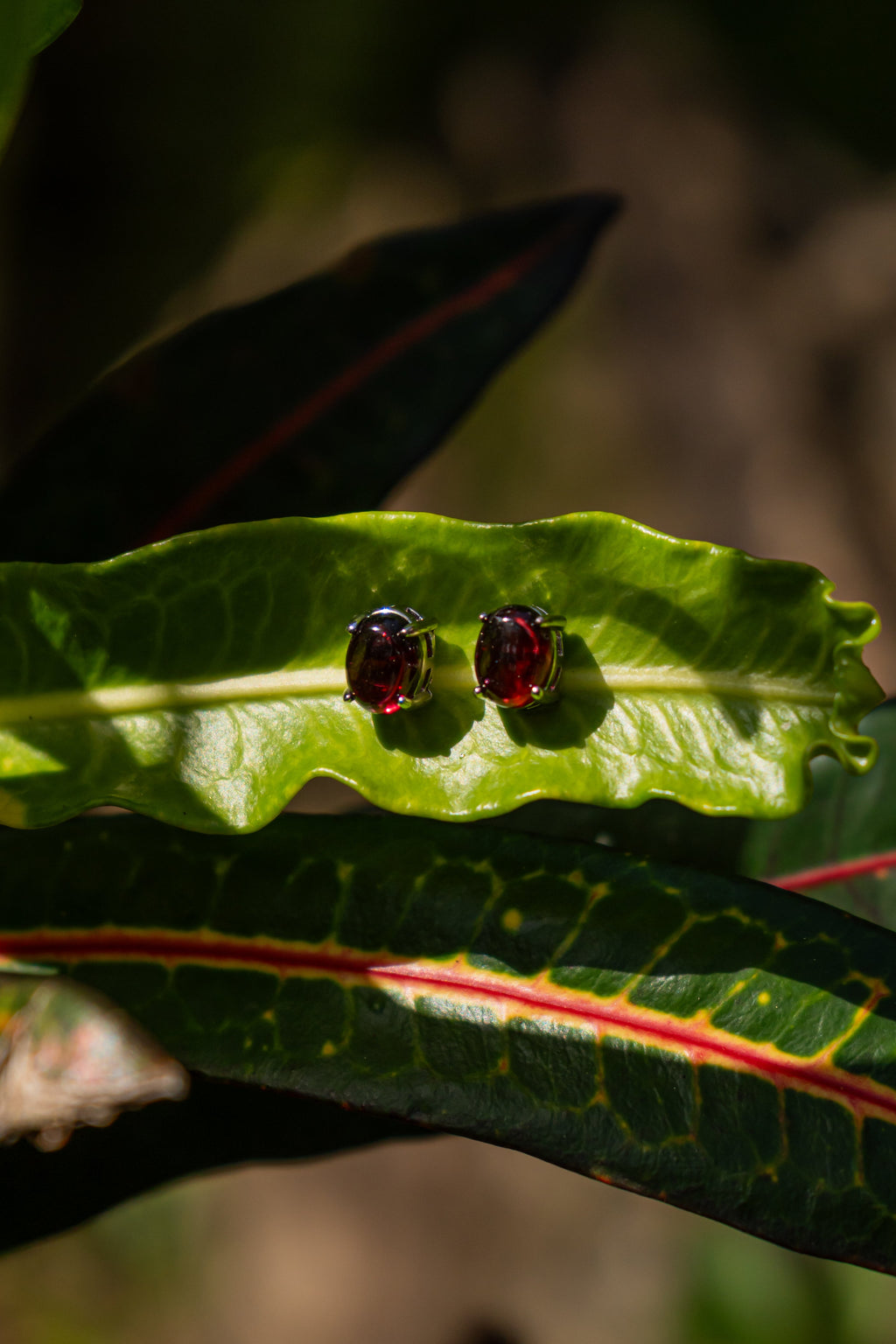 Garnet / Granate - Aritos - foto 026