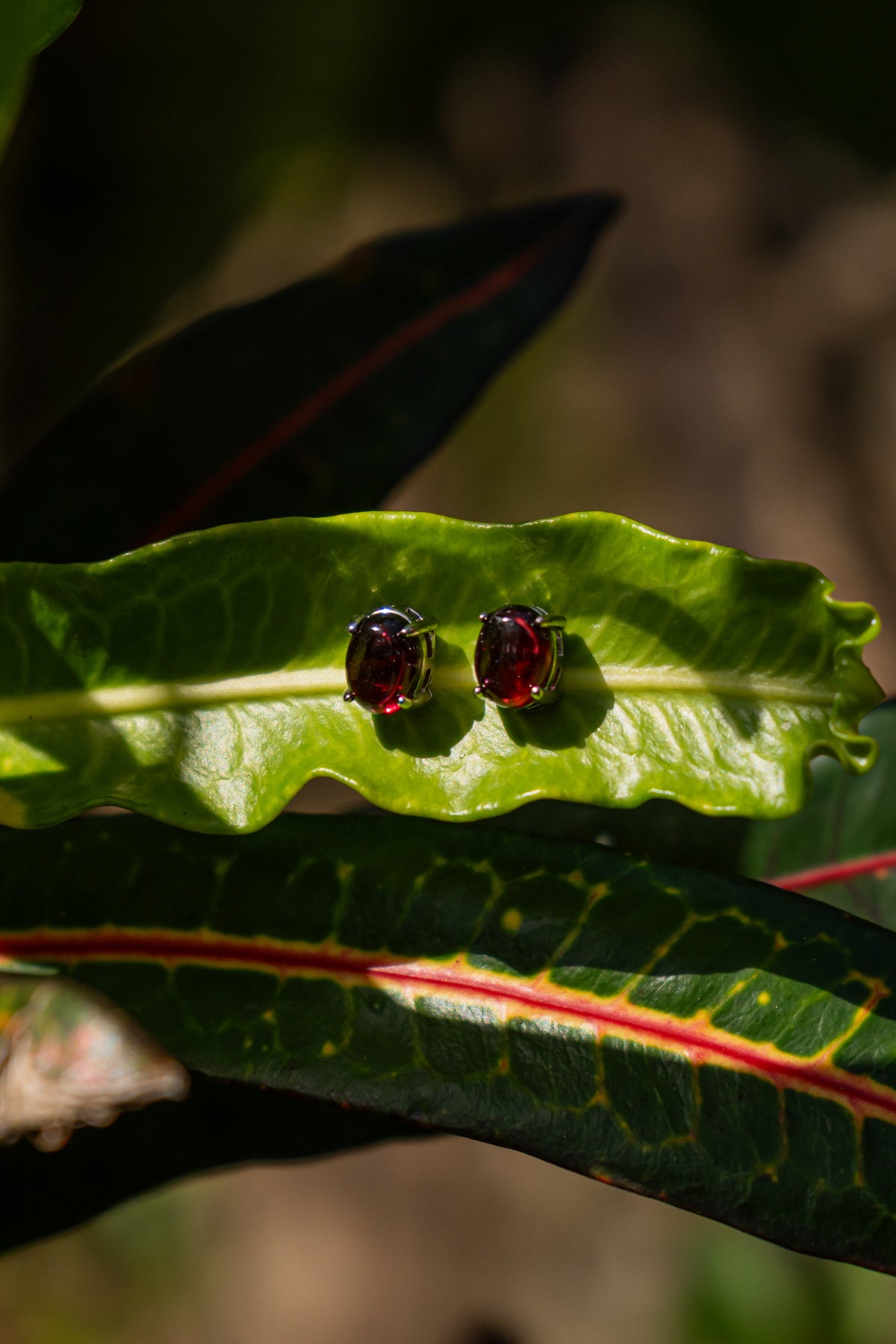 Garnet / Granate - Aritos - foto 026