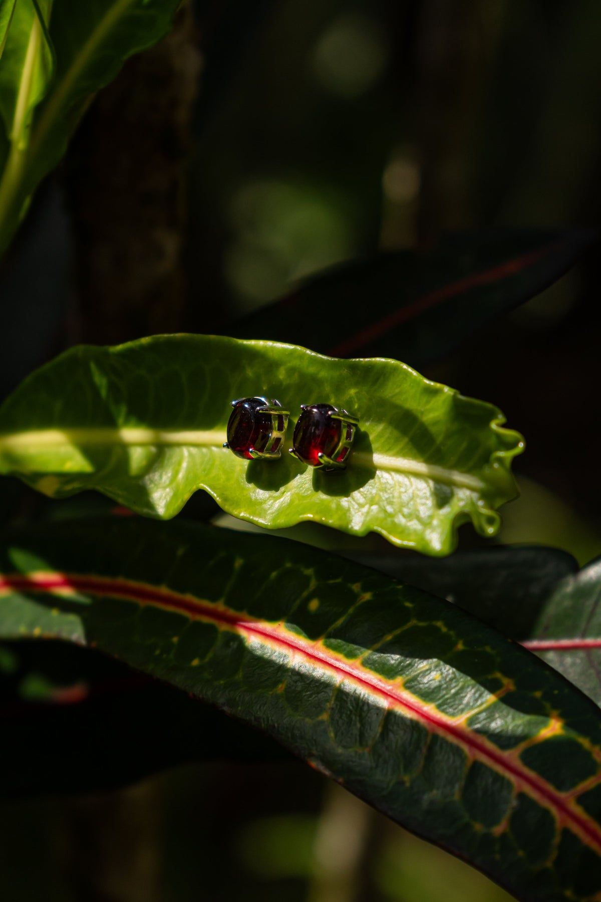 Garnet / Granate - Aritos - foto 027