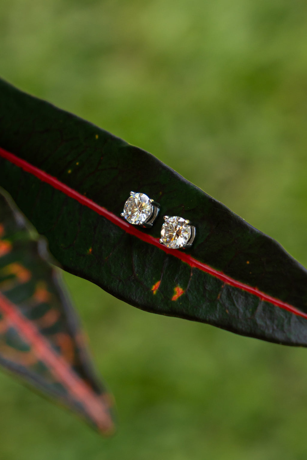 Moissanite - Aritos - foto 028