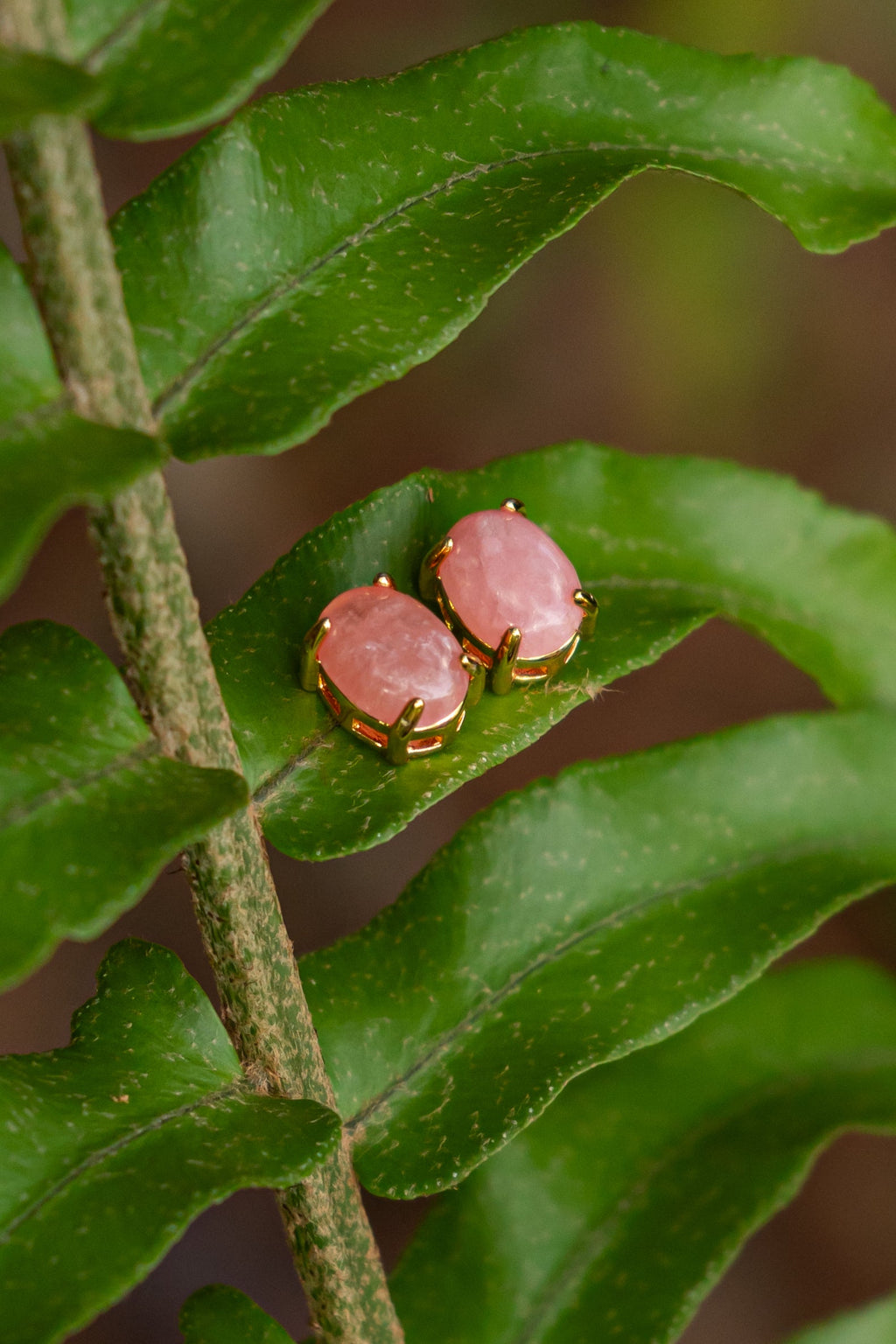 Rhodochrosite Oval Stud Earrings - Aritos - foto 107