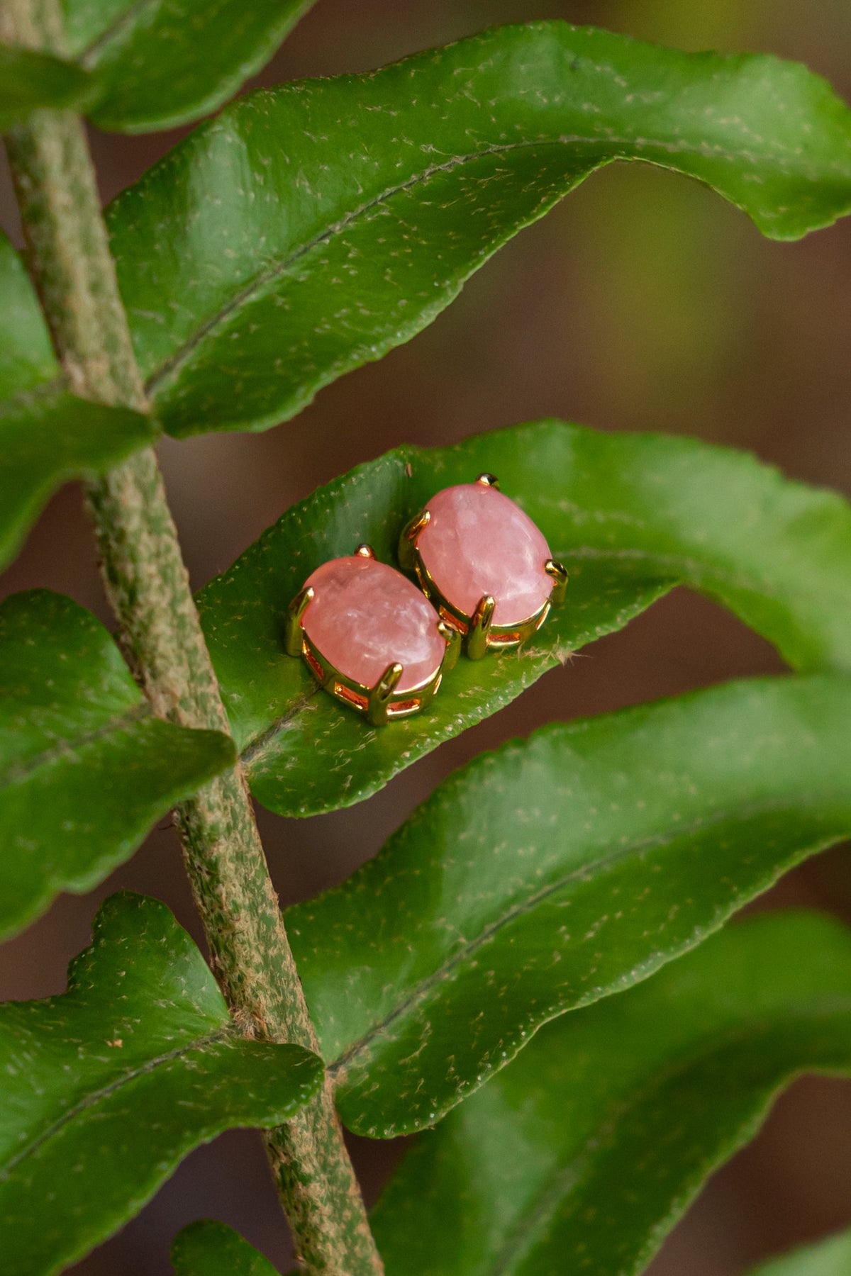 Rhodochrosite Oval Stud Earrings - Aritos - foto 107