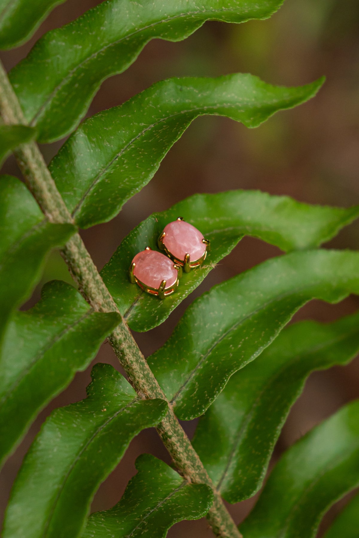 Rhodochrosite Oval Stud Earrings - Aritos - foto 108