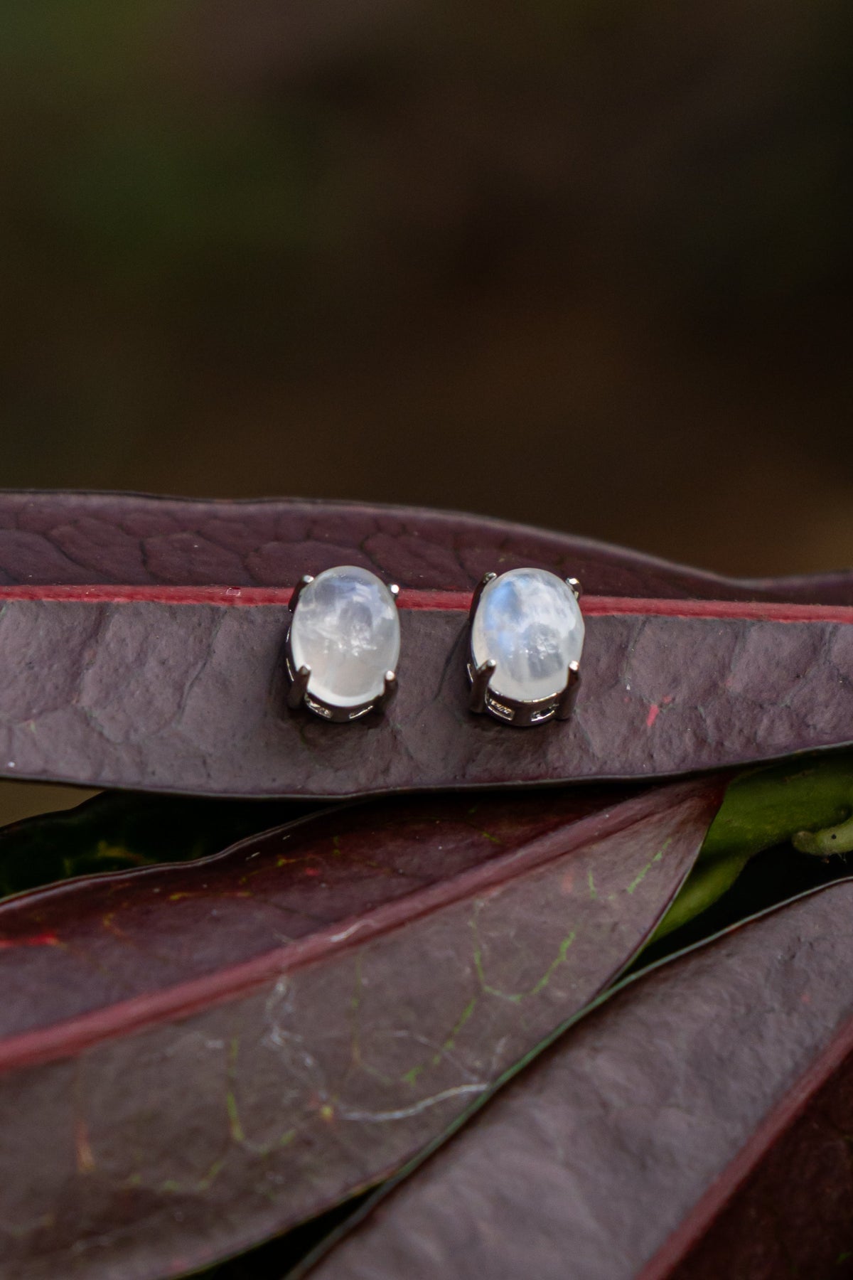 Moonstone - Aritos - foto 110