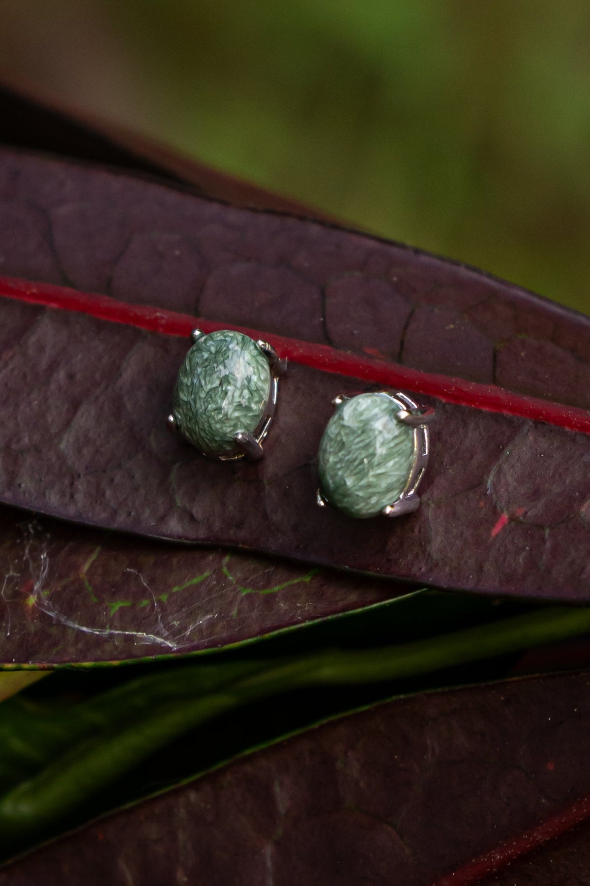 Seraphinite - Aritos - foto 111