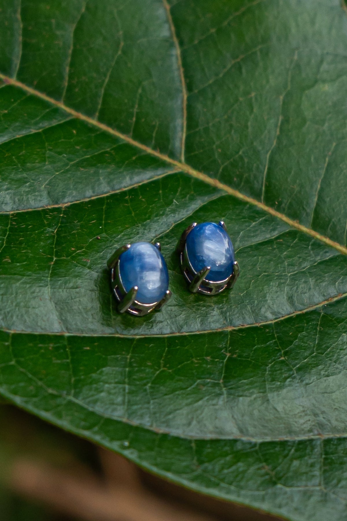 Blue Kyanite - Aritos - foto 112
