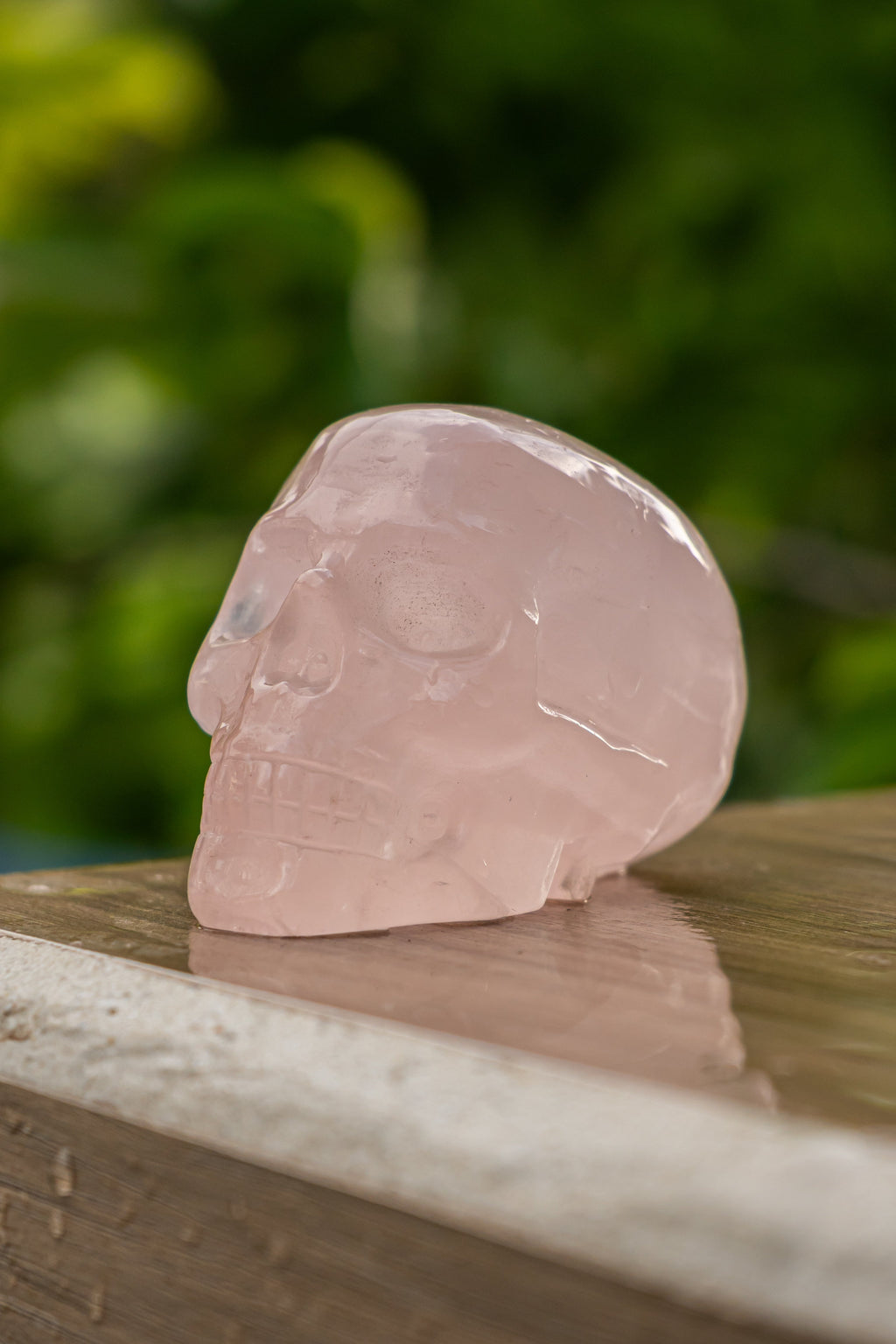 Calavera de Cuarzo Rosa - Figura - foto 172