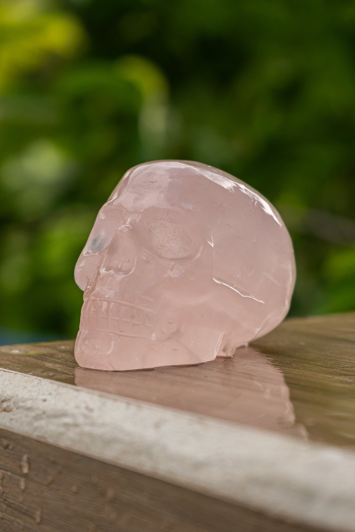 Calavera de Cuarzo Rosa - Figura - foto 172