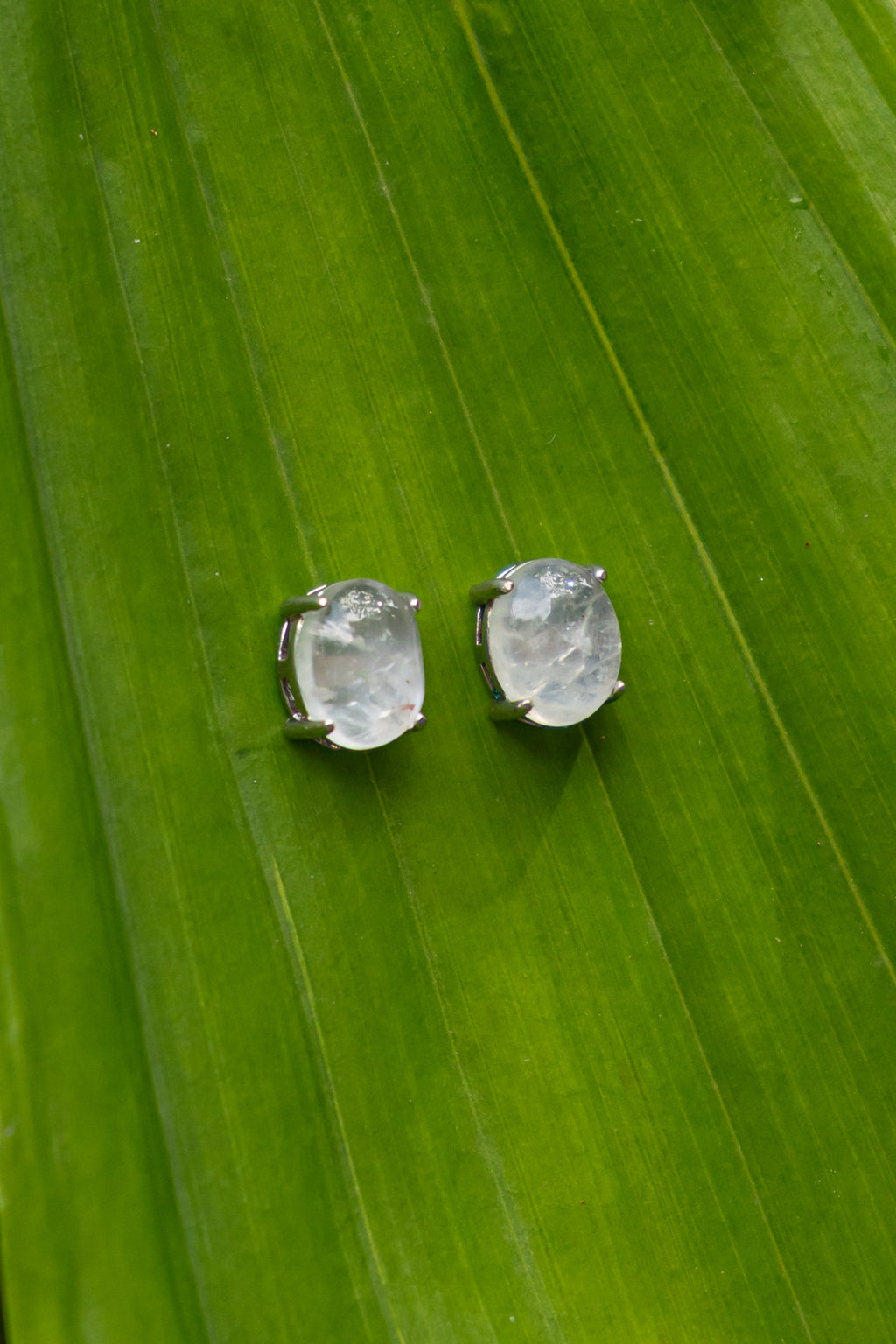Moonstone - Aritos - foto 180