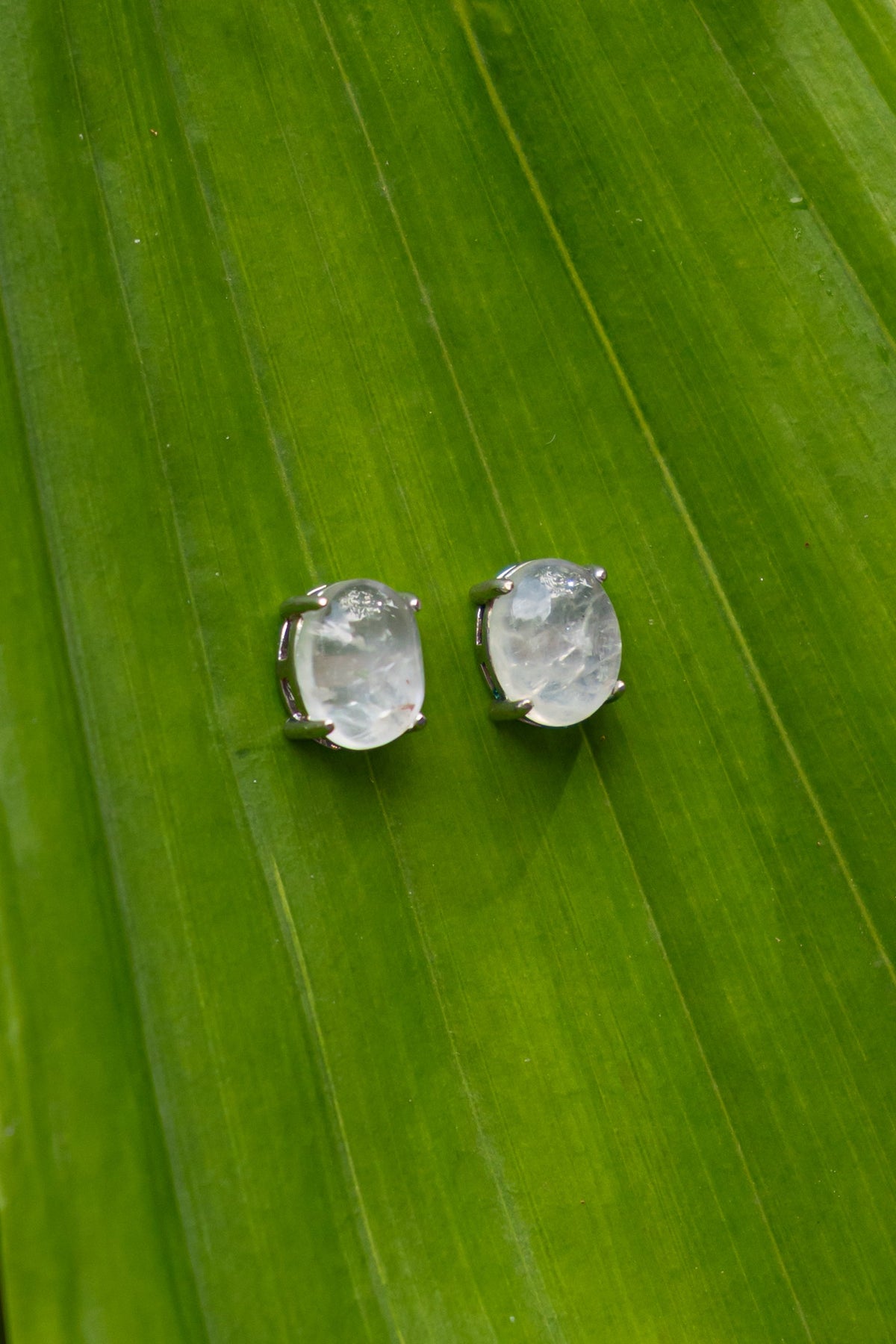 Moonstone - Aritos - foto 180