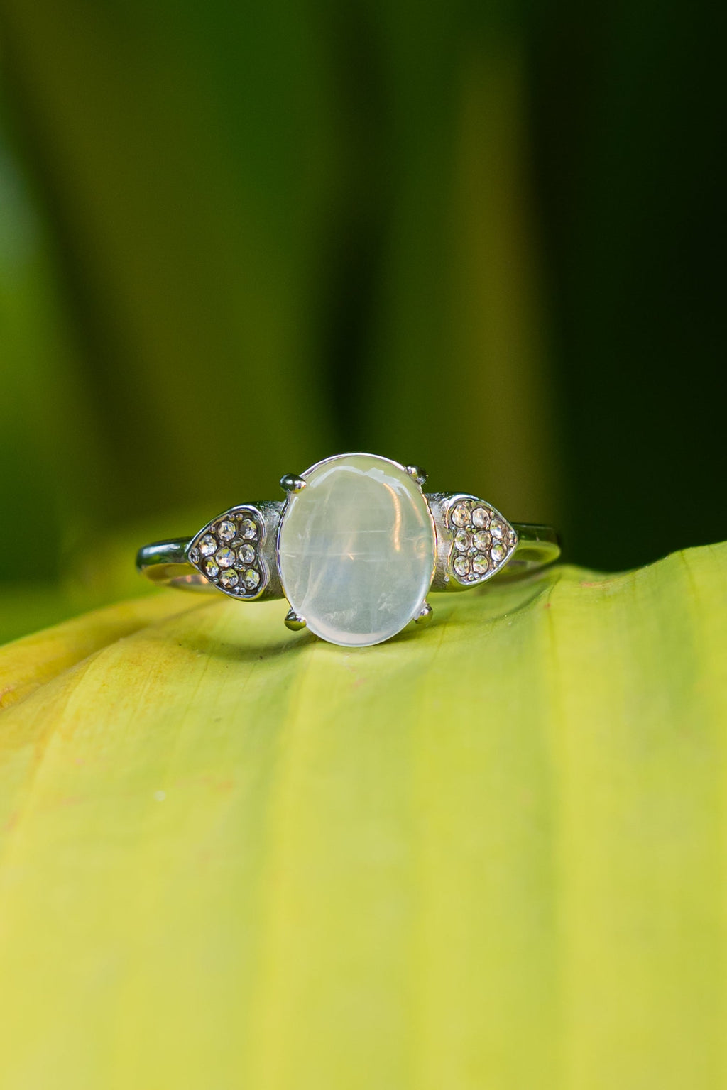 Moonstone - Anillo - foto 194