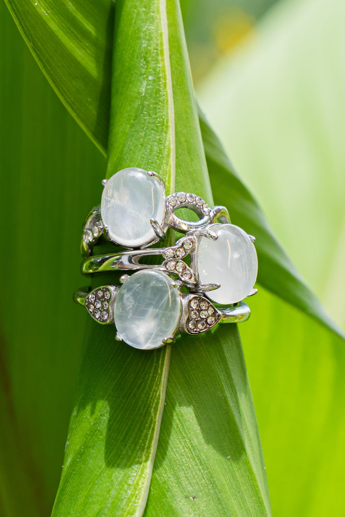 Moonstone - Anillo - foto 196
