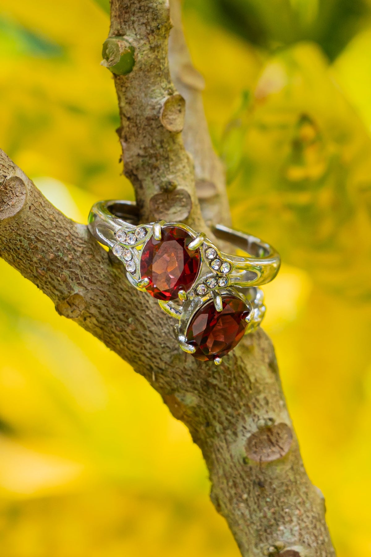 Granate - Anillo - foto 201