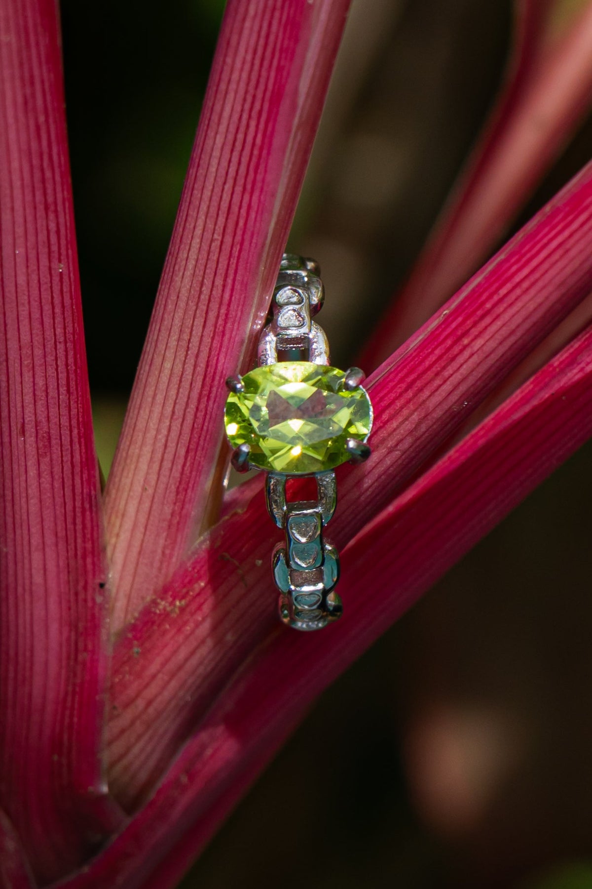 Peridoto - Anillo - foto 204