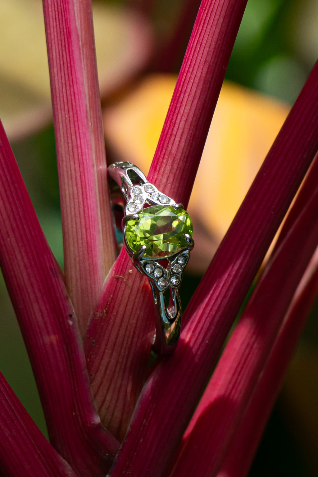 Peridoto - Anillo - foto 205