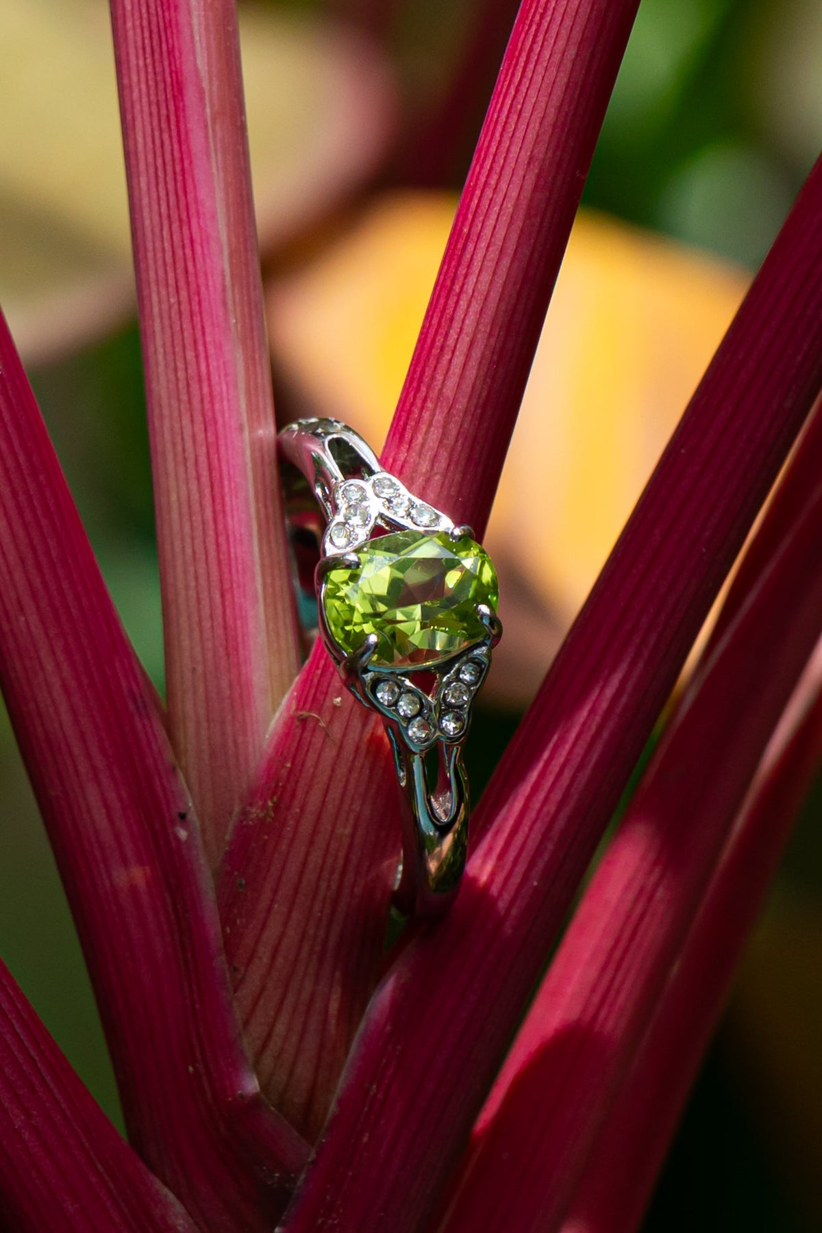 Peridoto - Anillo - foto 205