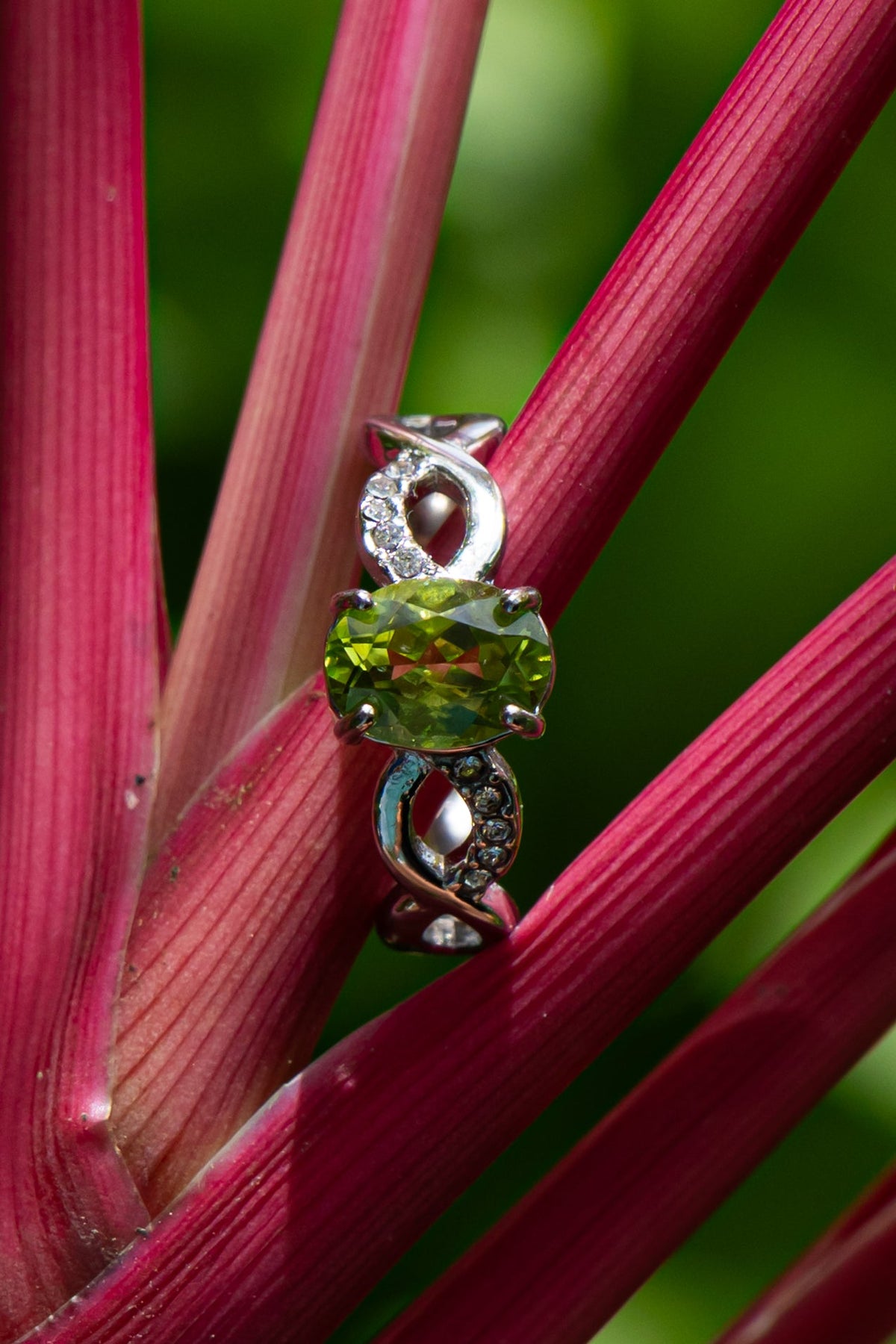 Peridoto - Anillo - foto 206