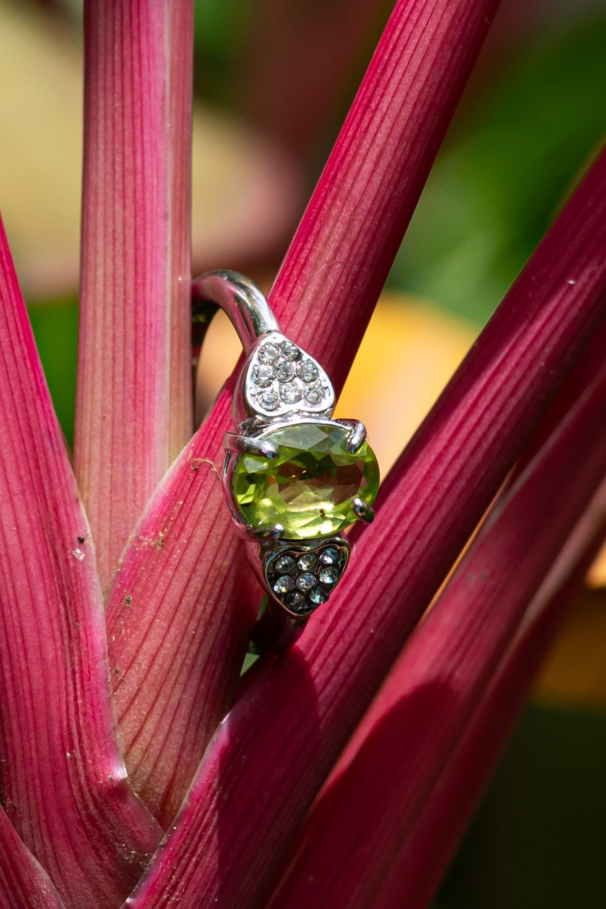 Peridoto - Anillo - foto 207