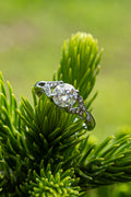 Moissanite - Anillo - foto 219