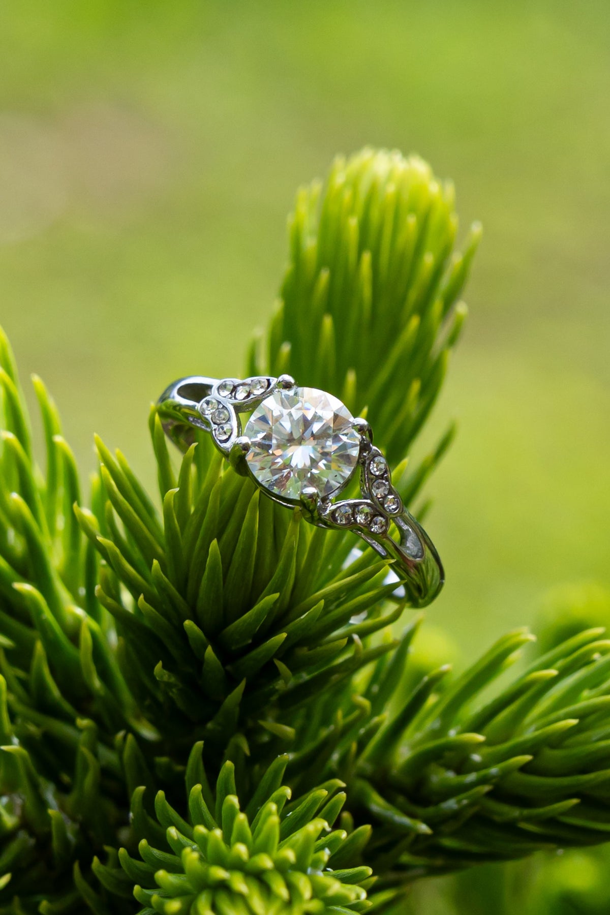 Moissanite - Anillo - foto 219