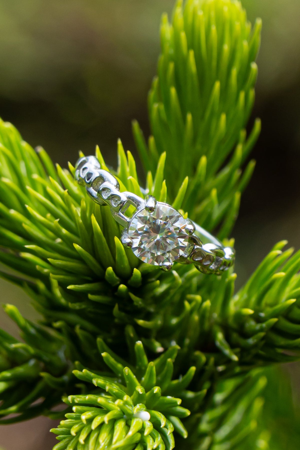 Moissanite - Anillo - foto 221