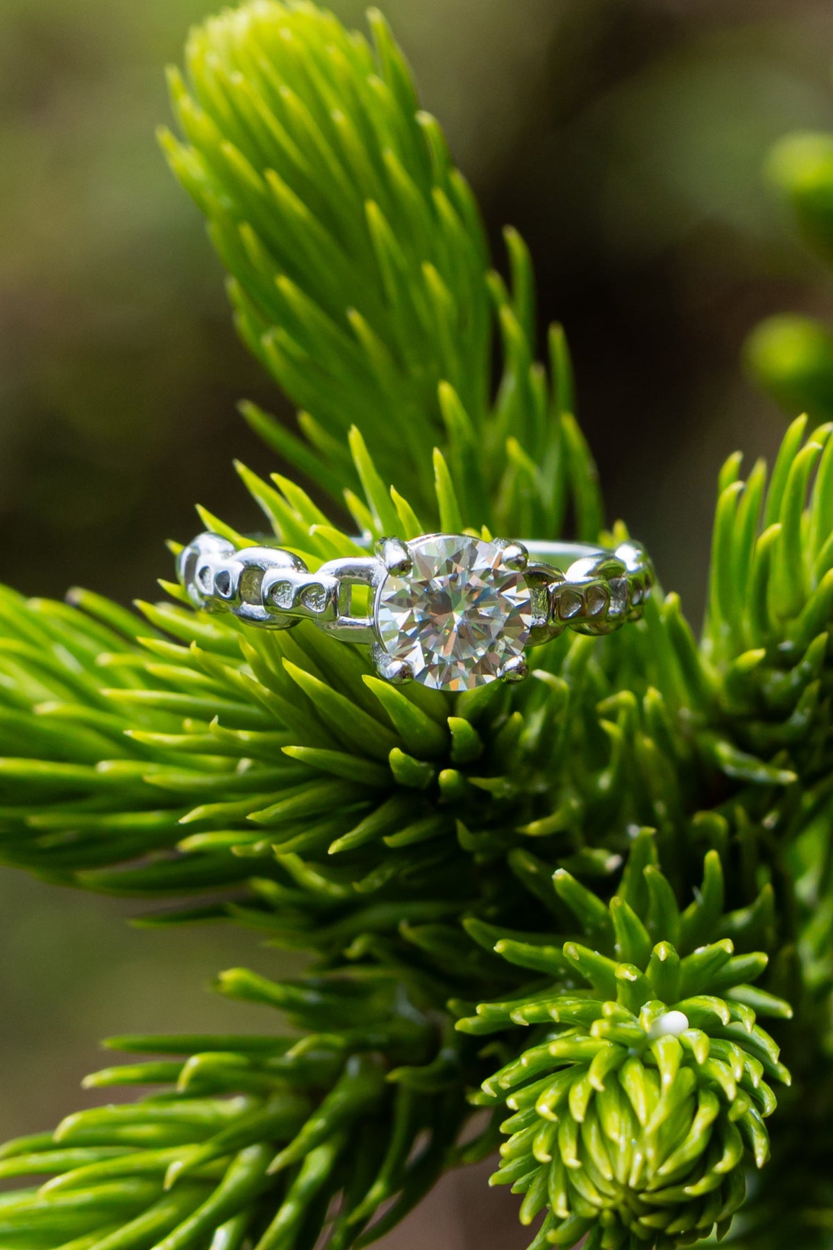 Moissanite - Anillo - foto 222