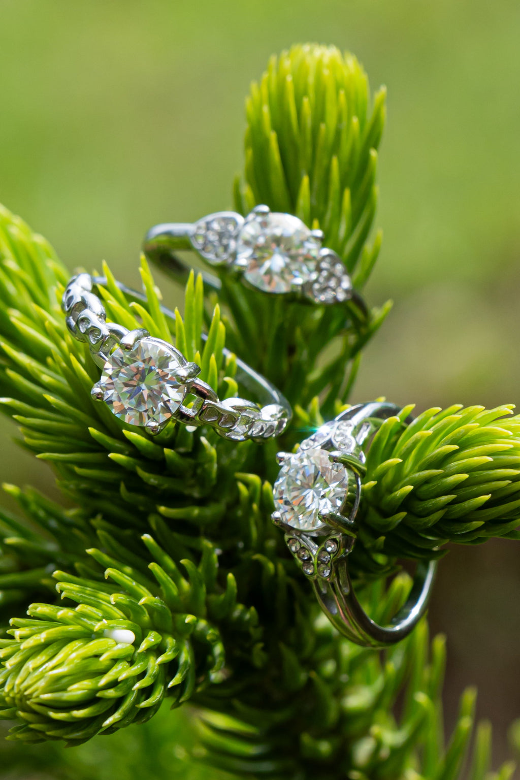 Moissanite - Anillo - foto 223