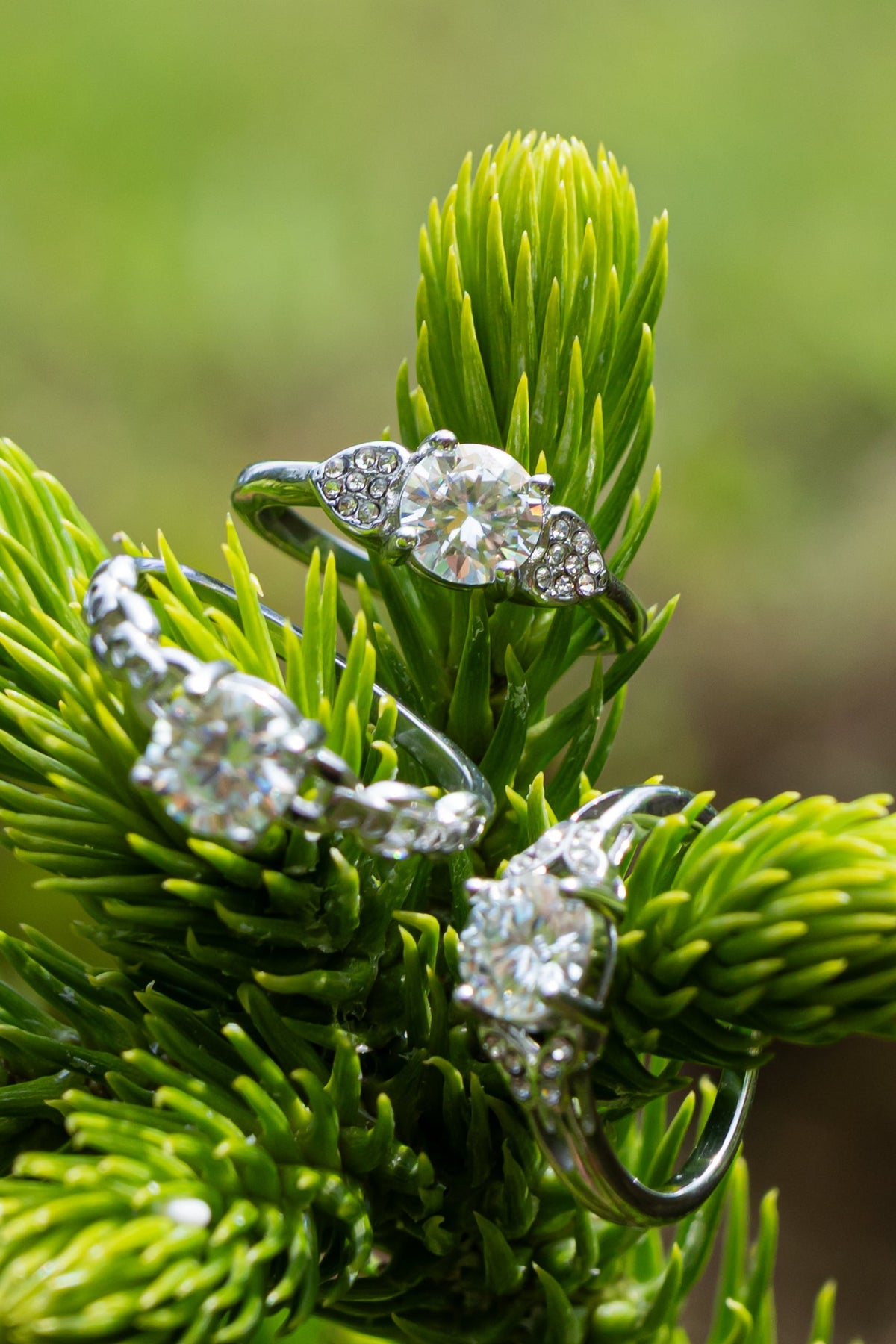 Moissanite - Anillo - foto 224