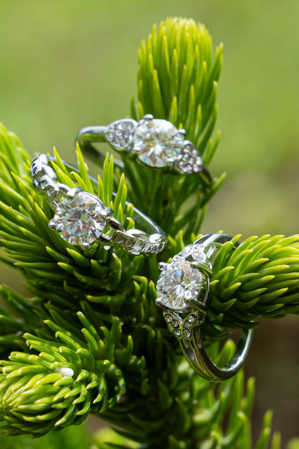 Moissanite - Anillo - foto 225