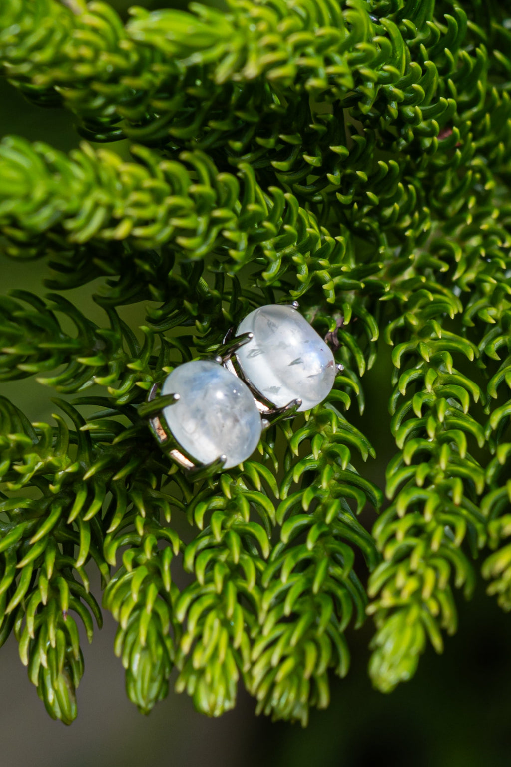 Moonstone - Aritos - foto 226