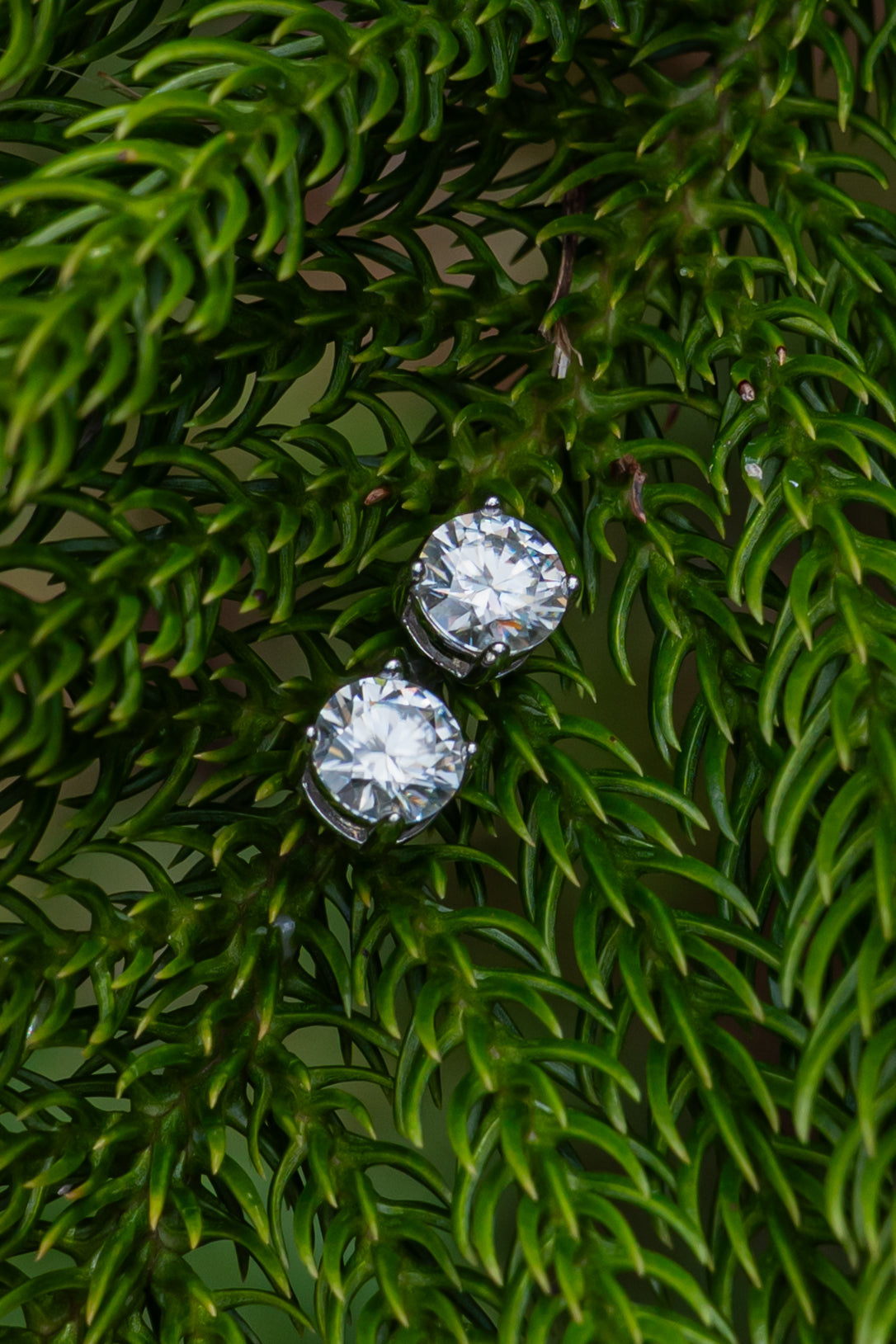 Moissanite - Aritos - foto 227